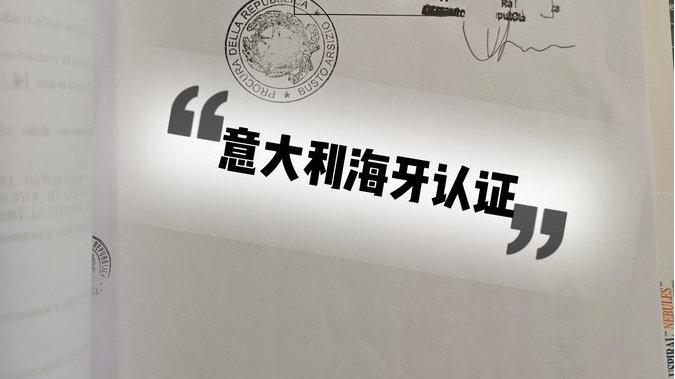 意大利宝宝出生证公证海牙认证Apostille常见问题及疑难解答