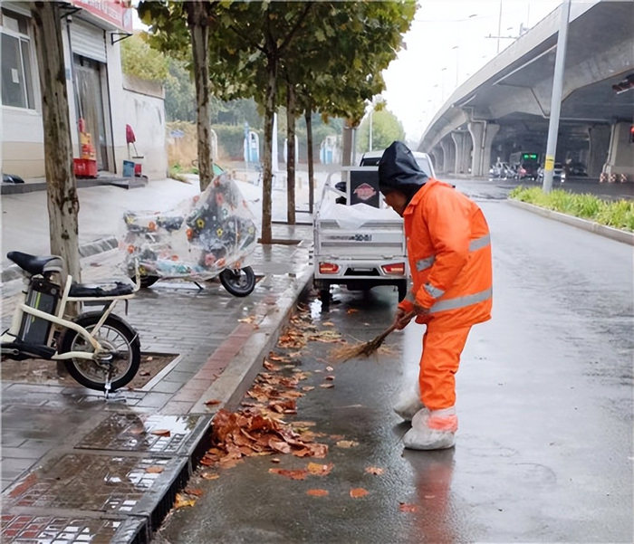 保定:环卫工人全力清扫雨后落叶,方便市民出行|落叶|保定市|环卫工人