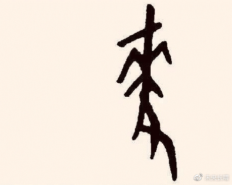 小麦在中国有五千年历史,商朝起小麦便是主要农作物|卜辞|甲骨文|合集|民乐|学者_新浪新闻