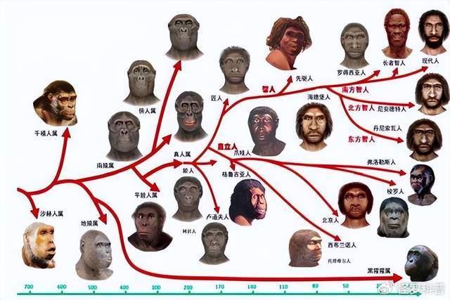 人类起源 智人 电影图片