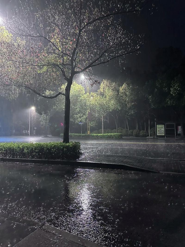 这就去煎块三文鱼,补补能量再和雨天较劲～ ​连续阴雨天真的会让人