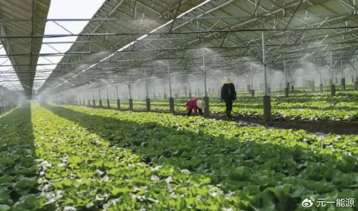 光伏农业大棚发展正热 "光伏 农业"开启新未来__财经头条