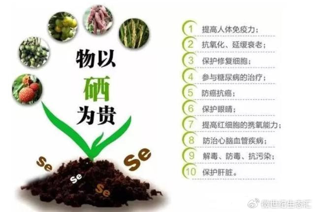 富硒食品大盘点:健康从这里开始!|西蓝花|营养均衡|牛油果|金枪鱼|含硒量_新浪新闻