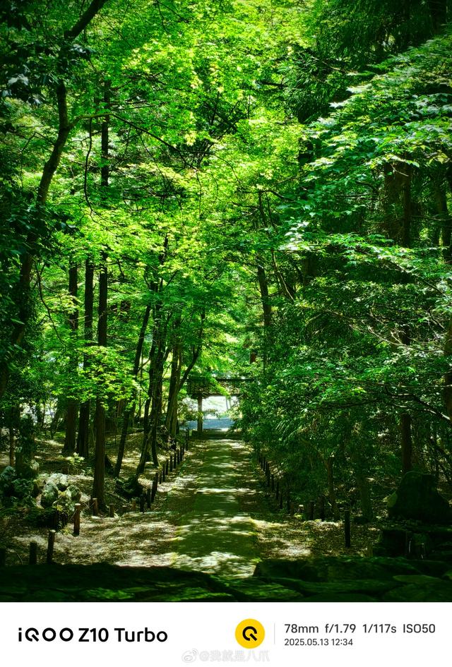 又是一年的新绿时节，偷得山中半日闲，拍一些满眼绿色，『洗洗』眼睛