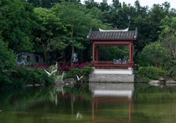 黎明湖公园
