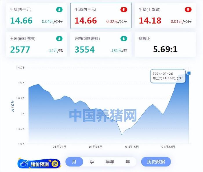 2024年01月26日-中國養豬網全國土雜豬生豬價格走勢圖及漲跌表