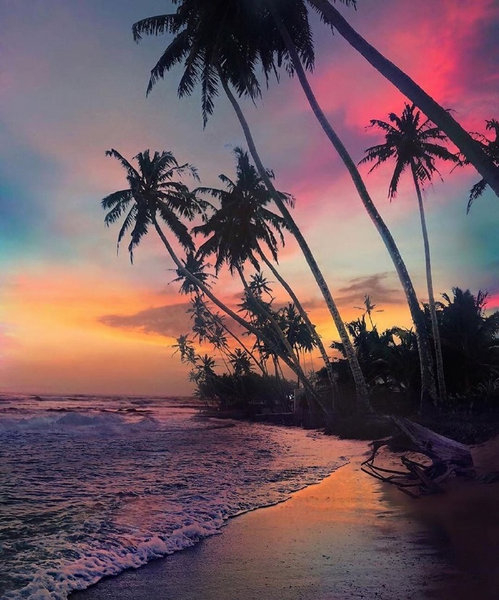加利福尼亚的海滩,夕阳热烈如红唇