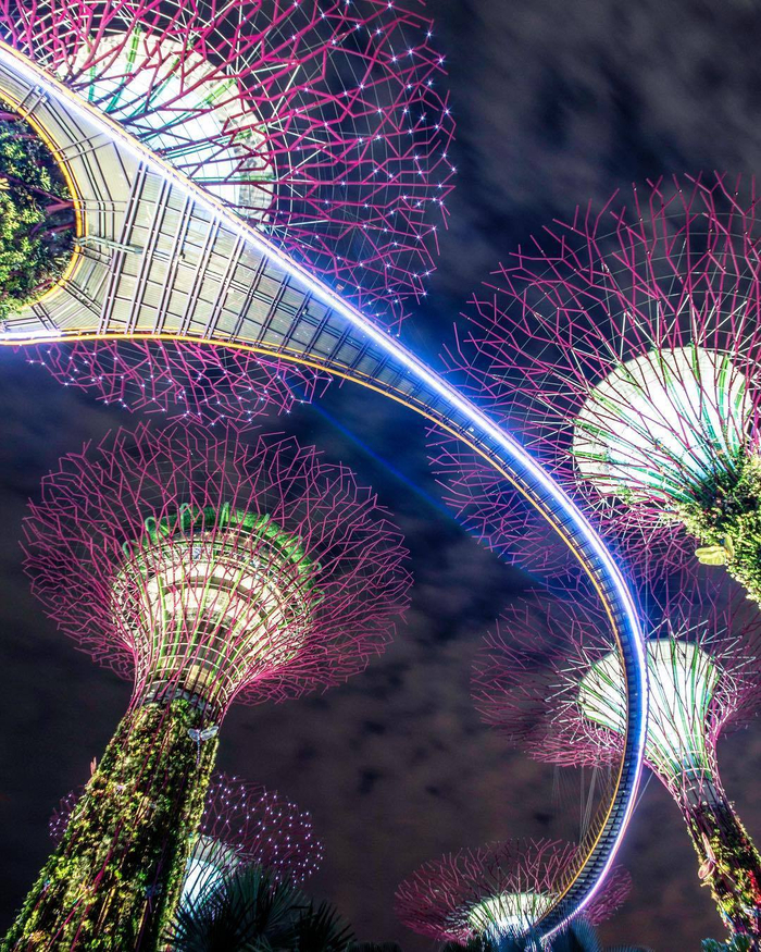 坐落在新加坡中心海湾的滨海湾花园(Gardens by the Bay)于2012年对
