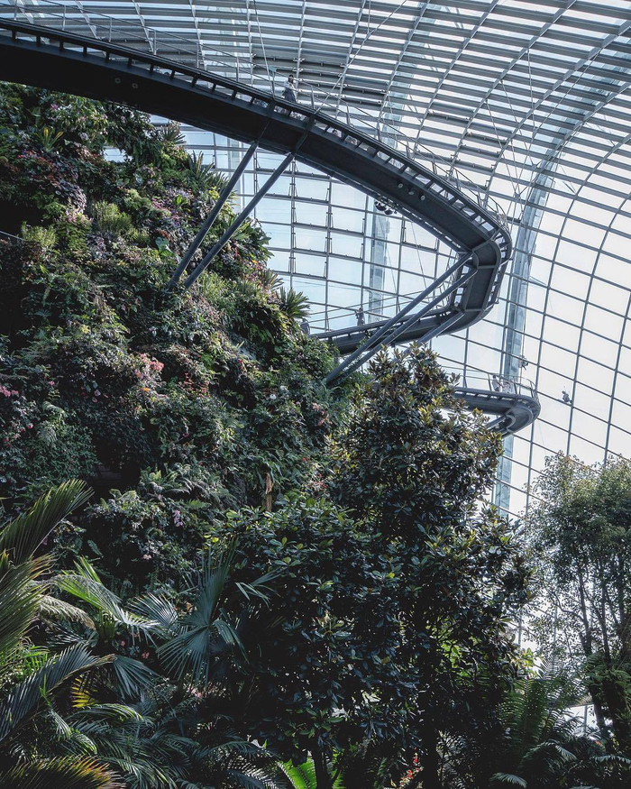 坐落在新加坡中心海湾的滨海湾花园(Gardens by the Bay)于2012年对