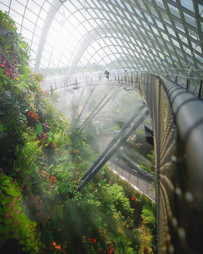 坐落在新加坡中心海湾的滨海湾花园(Gardens by the Bay)于2012年对