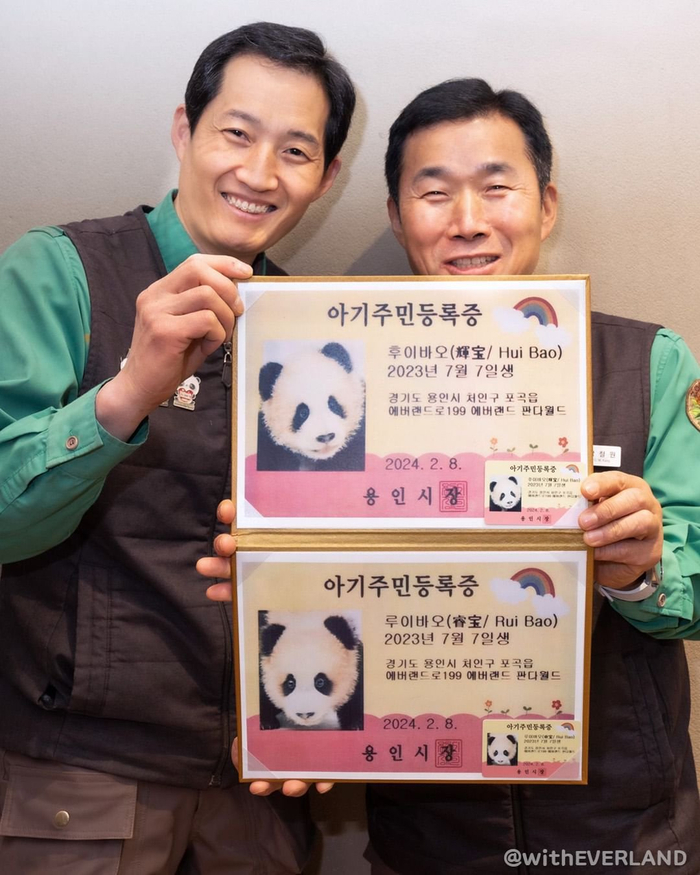 福宝成为龙仁市的荣誉市民睿宝和辉宝获得了儿童居民身份证