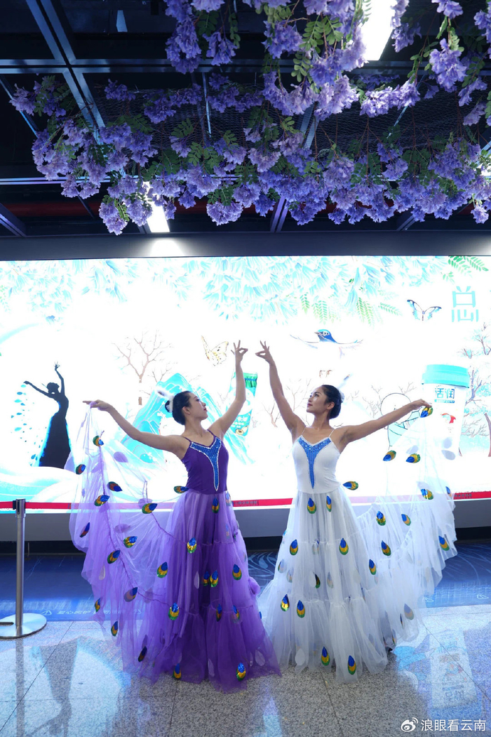 第六届中国·昆明蓝花楹文化艺术节地铁专列今日上线