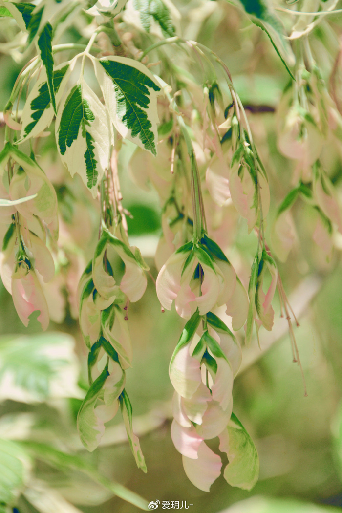 700_1050竖版 竖屏