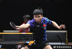 3-0横扫张本智和！国乒29岁大将霸气复仇进八强：王皓重用他？