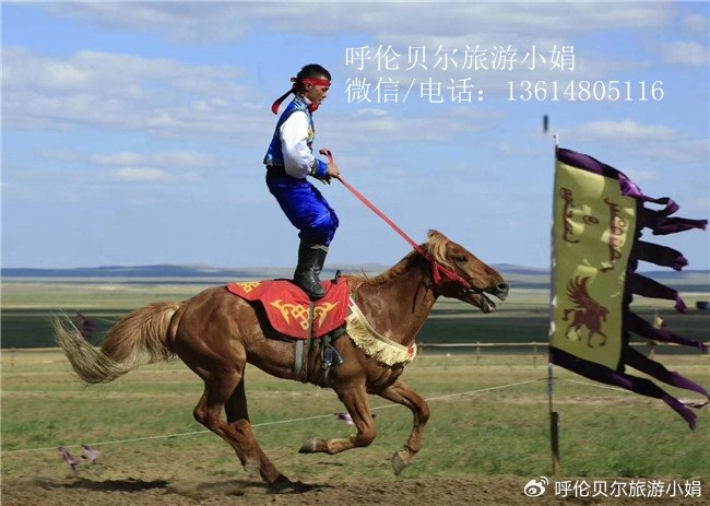 湿地进行5公里左右的轻徒步和骑马,这里非常漂亮,大家可以尽情的拍照