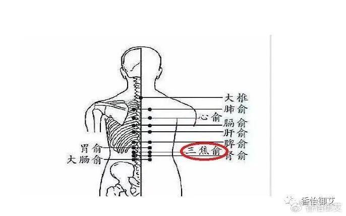 血糖高艾灸部位图片图片