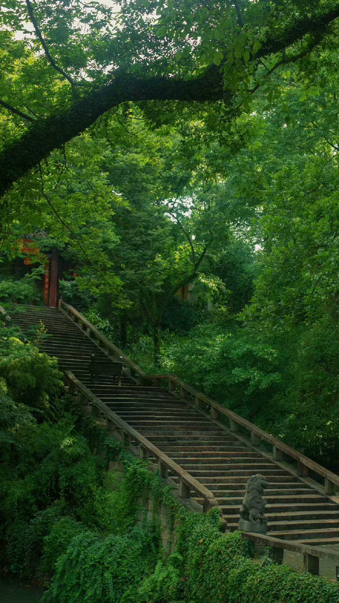 千层叠嶂的深山老林,阡陌交通,心生禅意