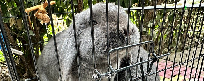 中证800指数的进退维谷|中证800指数|平衡型|规模_新浪新闻