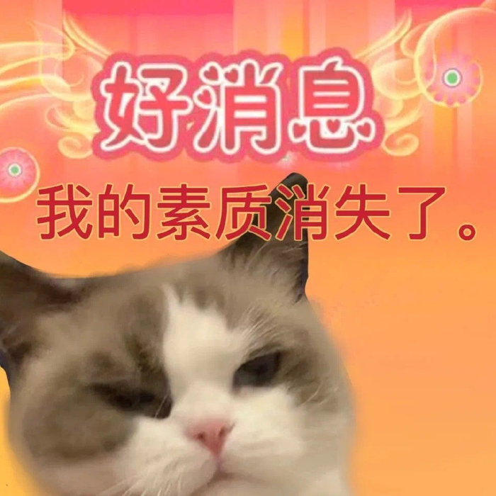 收藏的好用表情包