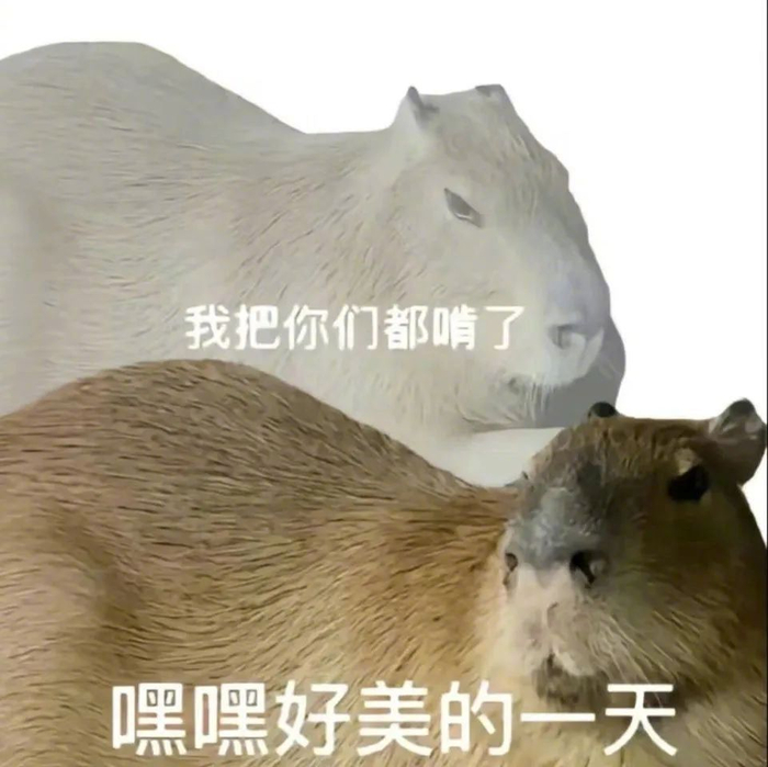 超逗沙雕表情,笑到飞起 拿图请吱一声~ 更多表情包看我主页!