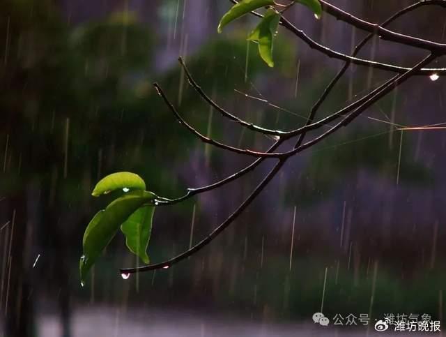 潍坊天气  明后天小雨上线