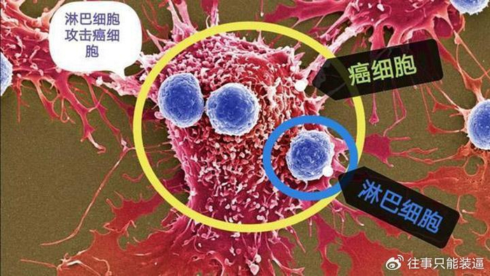 癌症扩散转移怎么办?把握治疗"黄金期",十有八九能恢复!