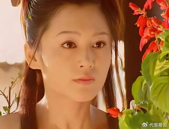 阿牛|陈红|电视剧_新浪新闻