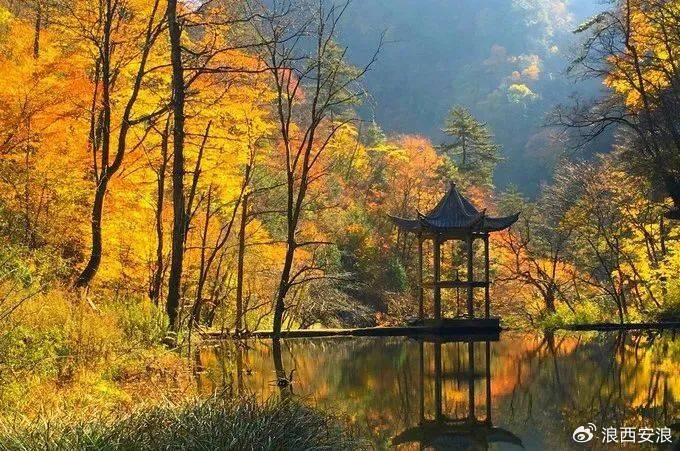 中秋 国庆,8天超长假期,汉中黎坪景区游玩攻略来了|黎坪|景区|汉中