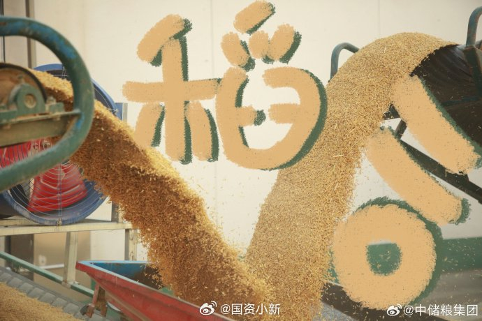 用涂鸦的方式打开大国粮仓可可爱爱