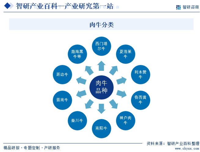 产业发展环境透析|智研产业百科【121—肉牛|肉牛|畜牧业|养殖业