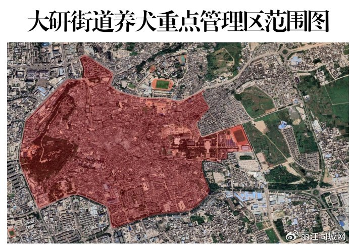 烈性犬名录:藏獒,比特犬,土耳其坎高犬,罗威纳犬,英国斗牛犬,狼青