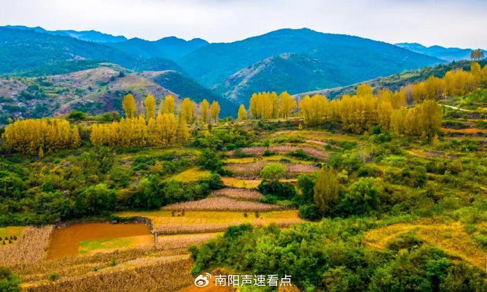 淅川惊艳美景——宛如童话世界|淅川|土地岭|丹江_新浪新闻