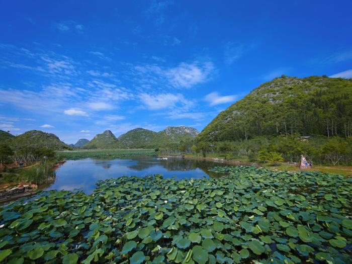 文山森林公园风景图片图片