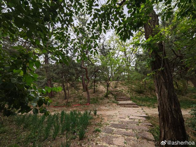 北京的元大都城墙遗址，嗯，还有护城沟