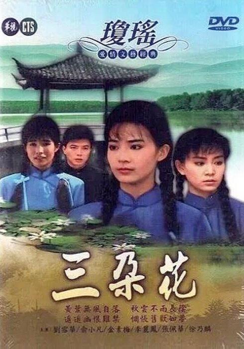 琼瑶剧哑妻剧情图片