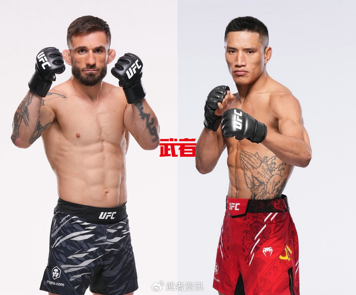 茸主与益扎出战UFC 325!胡克vs丹尼斯,菲齐耶夫vs鲁菲__财经头条__新浪财经