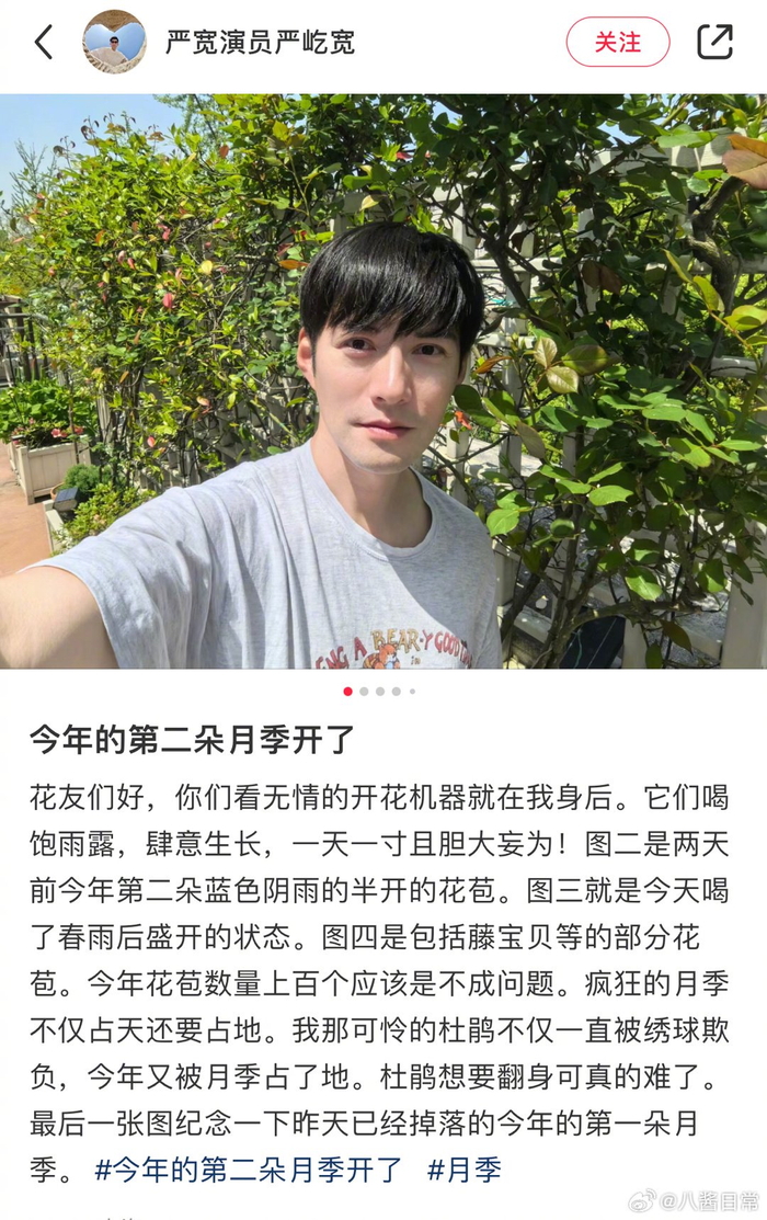 严屹宽真的很爱花