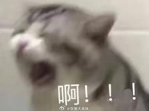 笑晕了…男生是不是体感温度强一点儿…