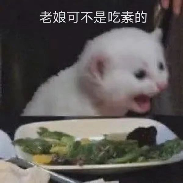 丰富一下你的表情包