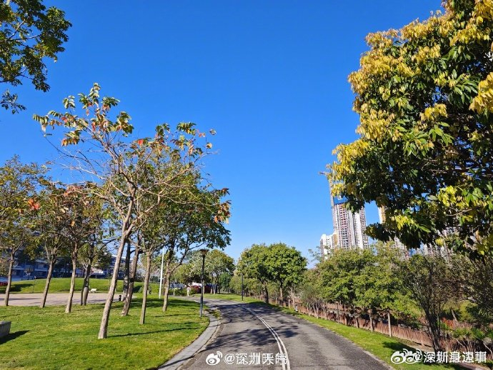 这才是春天该有的样子深圳人才懂的天气含金量