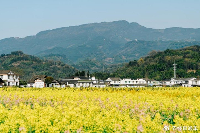 金融活水润泽眉州大地 全力赋能地方经济发展