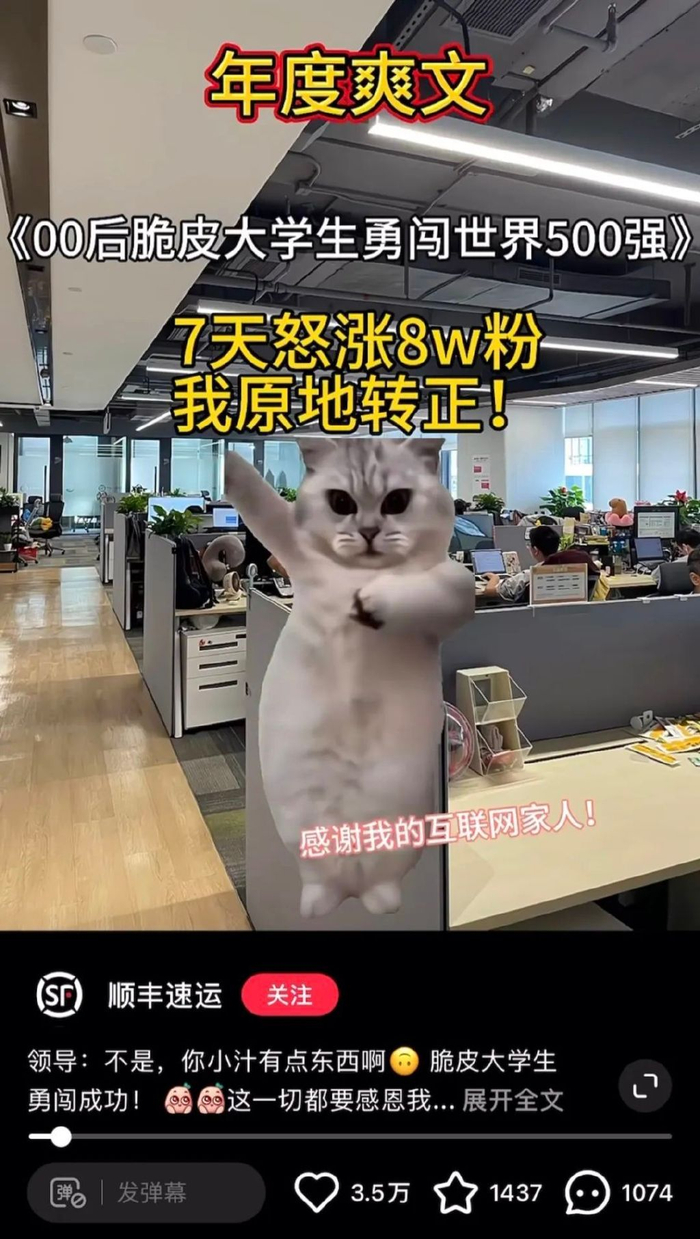 00后官号运营，正在用猫meme勇闯职场_财经头条