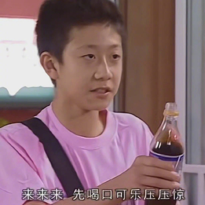 收一波家有儿女刘星表情包