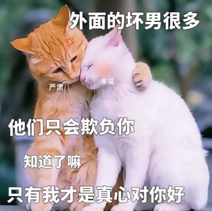 表情包新风尚,笑出腹肌!