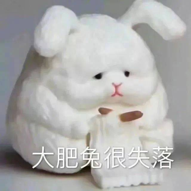 热门表情包 | 大肥兔 很失落 拿图点赞,吱声