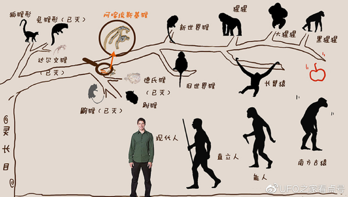 进化论的终极BUG:小小乌龟,凭什么会成为科学家们的“噩梦”?