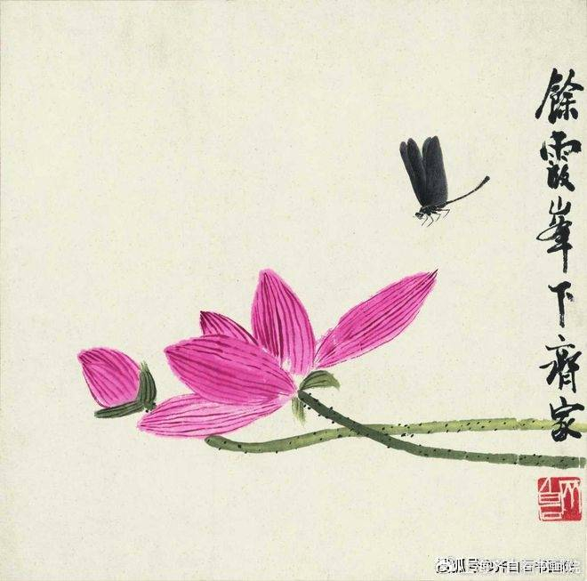 齐白石传人汤发周说,看蜻蜓画法即可|荷花蜻蜓|齐白石|蜻蜓_新浪新闻