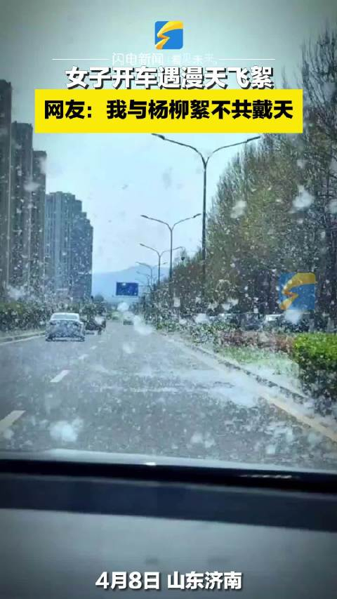 女子开车遇漫天飞絮网友我与杨柳絮不共戴天