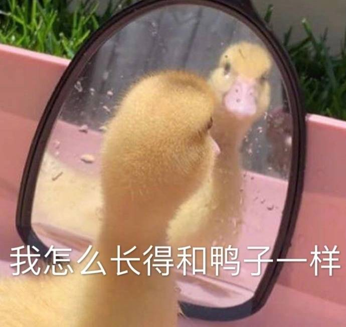 表情包 | 又是我的错?