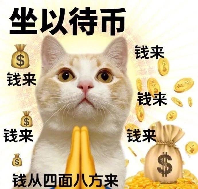 发财猫猫表情包